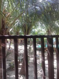 The Alpha Monkey hotel & Tree house