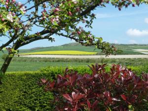 B&B / Chambres d'hotes Nature Et Plage : photos des chambres