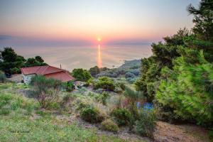 Aegean Retreat Villa Skopelos Greece