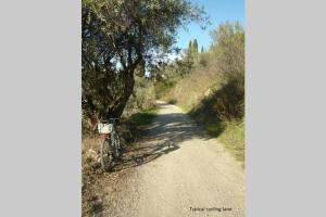 Aegean Retreat Villa Skopelos Greece