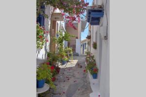 Aegean Retreat Villa Skopelos Greece