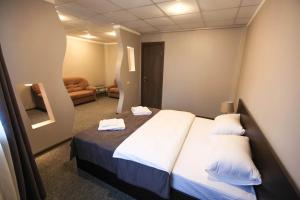 King Studio with Sofa Bed room in Voskresensk Hotel