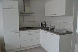 Vakantiewoning aan duinen en zee in Dishoek