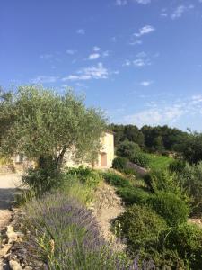 Appartements Le Voltigeur du Ventoux : photos des chambres