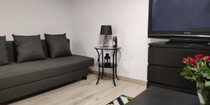 Apartament Centrum