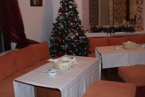 Pension Vila Mikasa Bansko Bulgarien