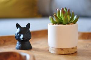 Loft Luis - Bikepark & Skilift -