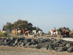 Villages vacances Meuble de tourisme 6/8 pers bord de mer sur camping 4* : photos des chambres