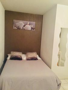 Appartement Studio Cours Pyrene Tarbes Frankreich