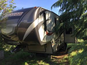 Sequoia Forest Retreat