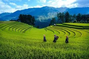 Nhà nghỉ Phú Lý - Sơn La