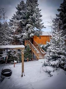 One-Bedroom Chalet