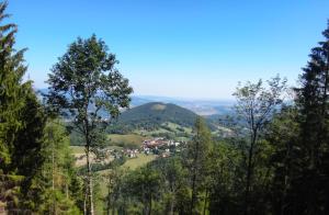 Апартамент Mountainfellow Raach am Hochgebirge Raach am Hochgebirge Австрія