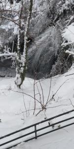 Guest House Waterfall Parnassos Greece