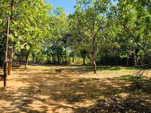 Dambulla City Hostel