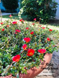 Milano relax family house