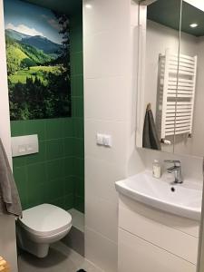 Apartament Karpaty