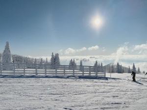 Teddy Apartman Kula Konaci