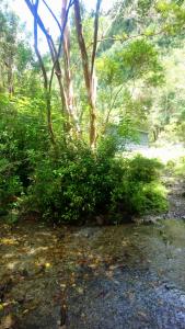 Cabaña La Sierra de Cochamó