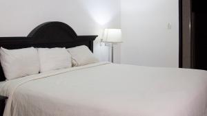 Gran Hotel CCP Suites