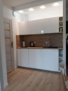 Apartament Szary Wilk