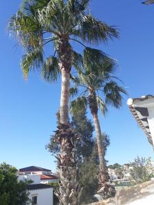 Mirador del Mediterraneo