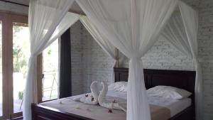 Jungle House - surf & stay