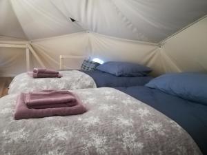 Glamping Drzwi Do Lasu