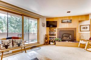 Ski Run Condominiums #108