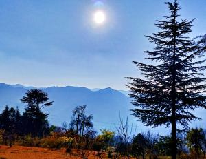 Merlin Grove Suites Simla