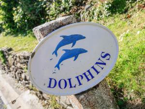 Dolphins