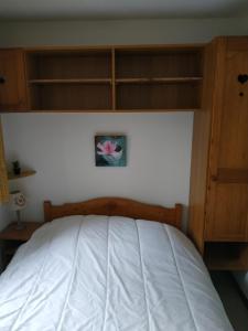 Appartements Appt 10p Wifi Confort 150m activites, pistes, commerces : photos des chambres