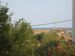 Perola Beach - Meia Praia