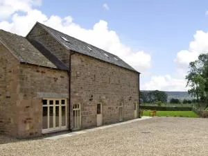 Goldcrest - Meerbrook