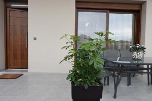 Katsaros - Elegant Home in Nafplio Argolida Greece