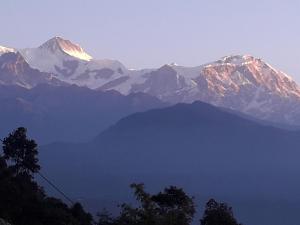 Himalayan crown lodge