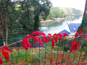 Hotels Hotel Alicia Auray Le Bono : photos des chambres