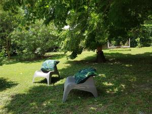 Appartements AU BORD DE L'ALZON : photos des chambres