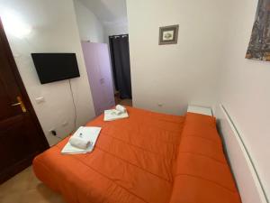 La Coccinella al mare img31