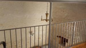 Maisons d'hotes La Fermette : photos des chambres
