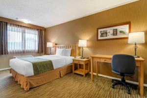 Econo Lodge Inn & Suites