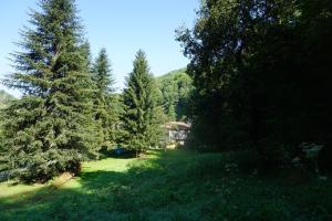 Maisons de vacances Le Pidro - A family house with private stream and woodland : photos des chambres