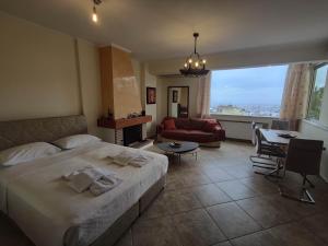 Private pool & Panorama View on Athens center Hill