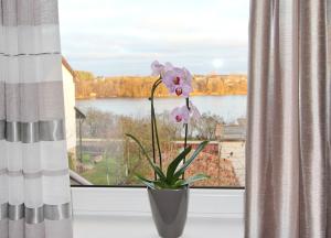 Apartments by the lake with fireplace