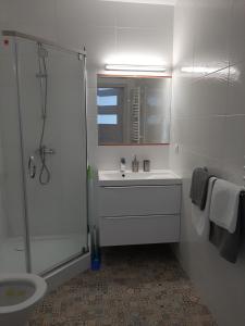 Apartament Viktoria
