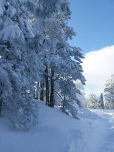 Brvnara Majstorović