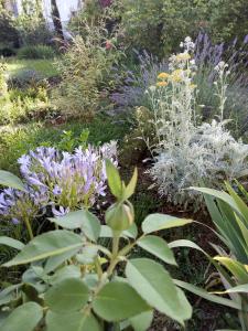 B&B / Chambres d'hotes L'Ecrin : Chambre Triple - Vue sur Jardin