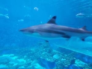 Apartament AQUAPARK Reda DESTINATION