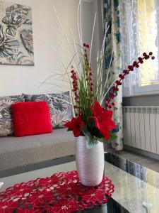 Apartament w Stolicy Podhala