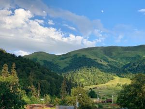 Bakuriani the Valley 115 - 202